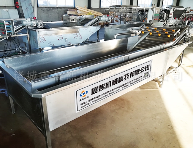 苦菜蔬菜清洗流水線