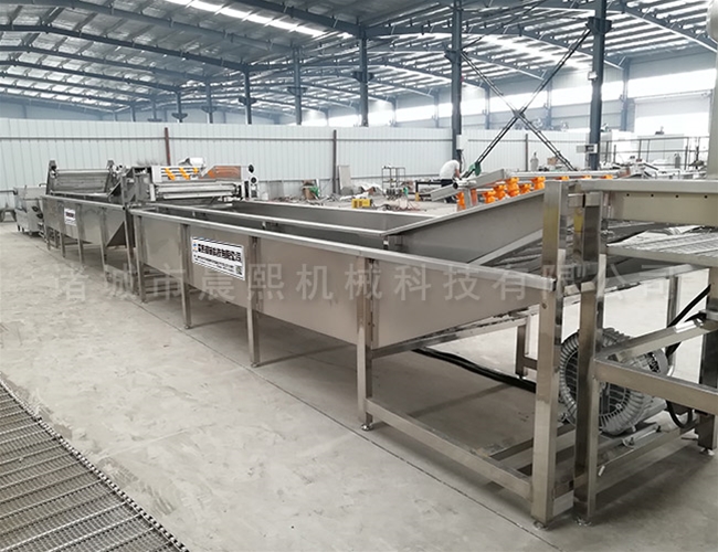 粽葉清洗機(jī)