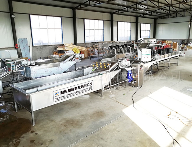 全自動橄欖清洗機(jī)