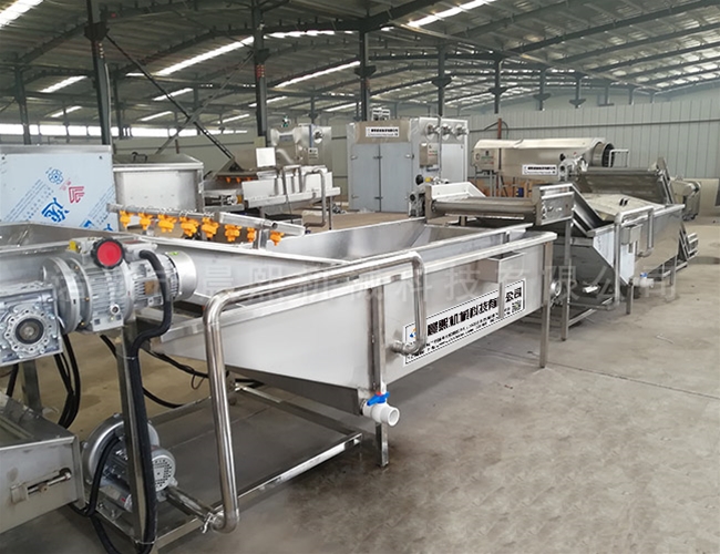 紫蘇葉清洗機(jī)