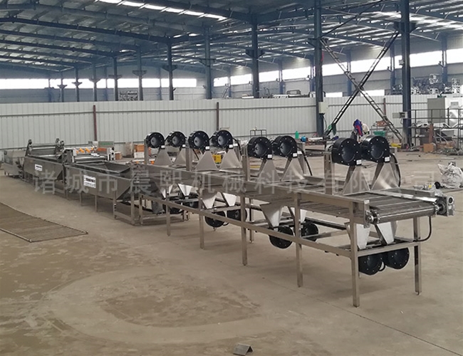 橄欖水果清洗機(jī)