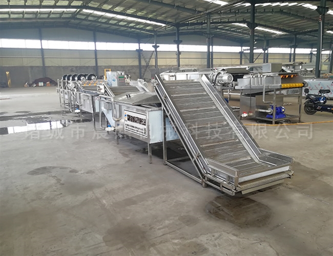 葡萄清洗機去農(nóng)殘高效率