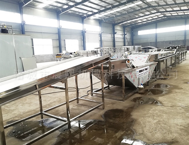 桑芽菜漂燙機 桑芽菜漂燙設(shè)備 芽菜清洗殺青機